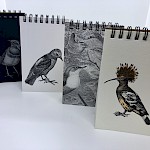 Eberhardt Press - Bird Pad Pack