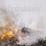 Anna Knecht Schwarzer, Helen Jones, Various Artists - Incandescent: A Color Film Zine, Issue 16