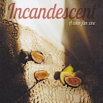 Helen Jones, Anna Knecht Schwarzer, Various Artists - Incandescent: A Color Film Zine, Issue 18