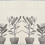 Esoteric Bumper Stickers - Houseplants Bumper Sticker