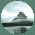 The Binary Marketing Show - Somehow We’ll Grow Into Some Overlapping Oak (Selected Songs, 2007-2022) (cassette)