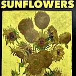 Dave Hankins - Sunflowers