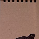 Eberhardt Press - Caracara Notepad