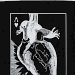 Corina Dross - Protection From Heartbreak Patch